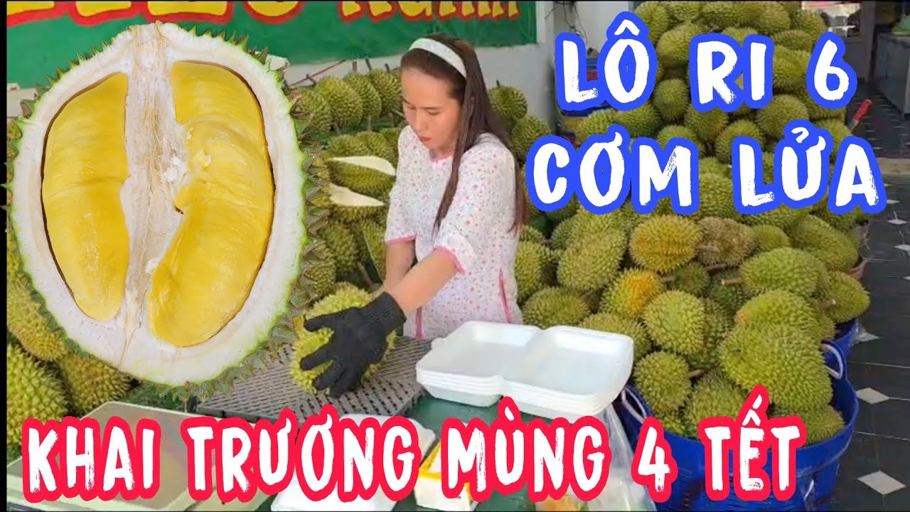 Sầu Riêng Hiếu Nghĩa Khai Trương Mùng 4 Tết Bà Chủ Khui Lô Sầu Ri 6 Cơm Lửa