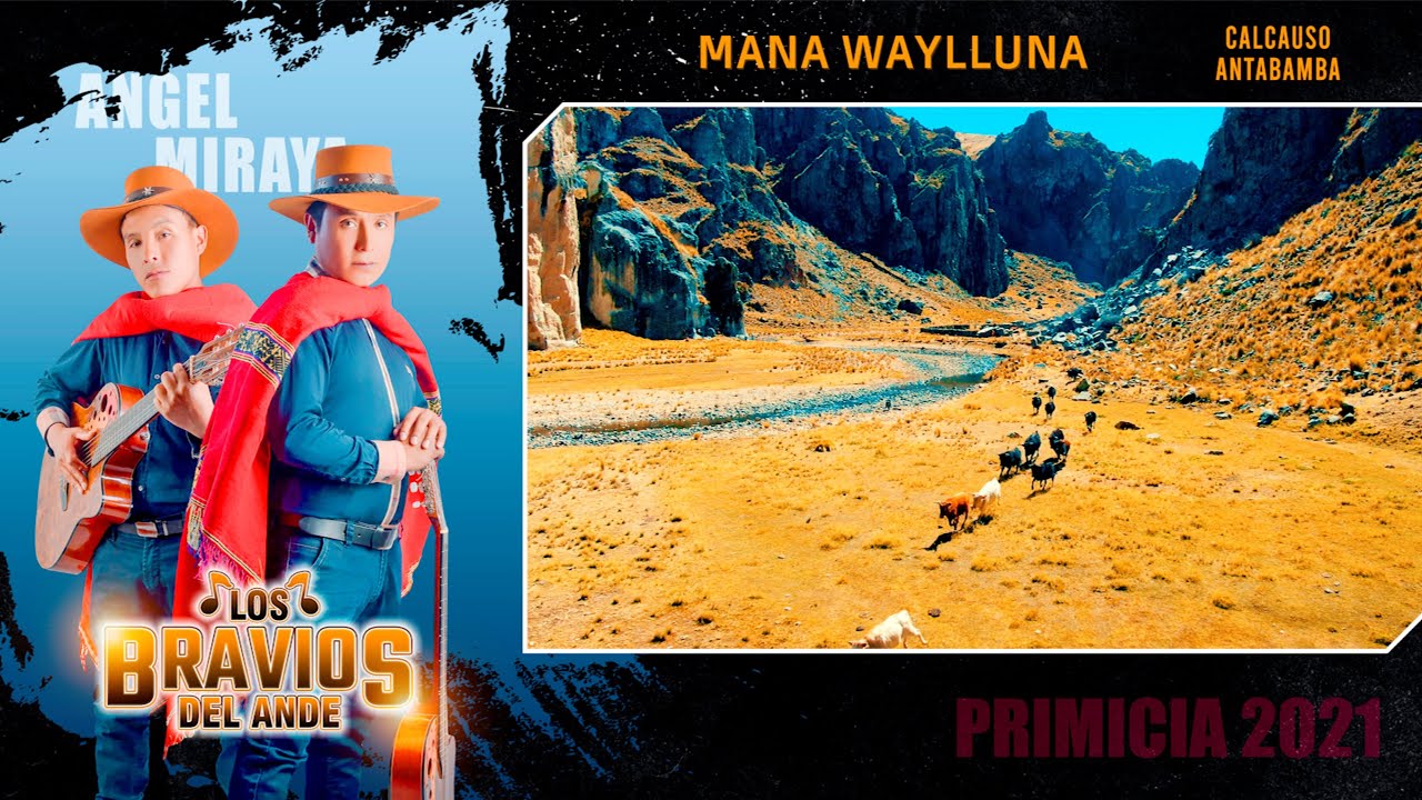 Mana Wayllluna ♪♫ ► ANGEL MIRAYA / BRAVIOS DEL ANDE ◄ TORIL PRIMICIA 2021