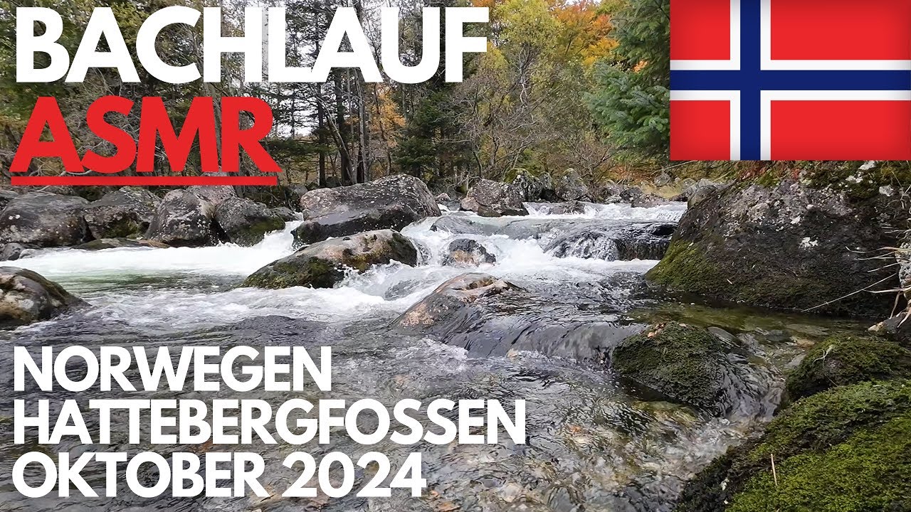 Bachlauf ASMR -  Norwegen | Hattebergfossen | Oktober 2024