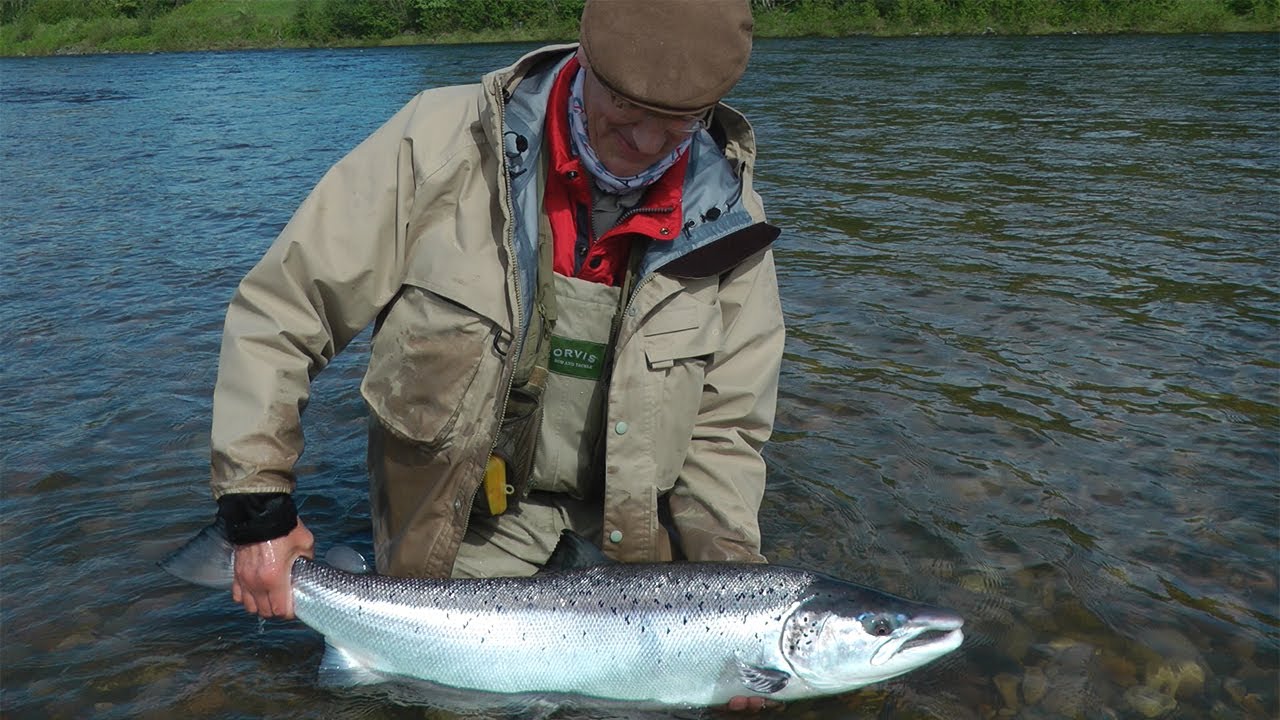 4 Large Gaula Salmon on fly - by Manfred Raguse & Terry Oldfield on Orvis rod and Fulling Mill flies