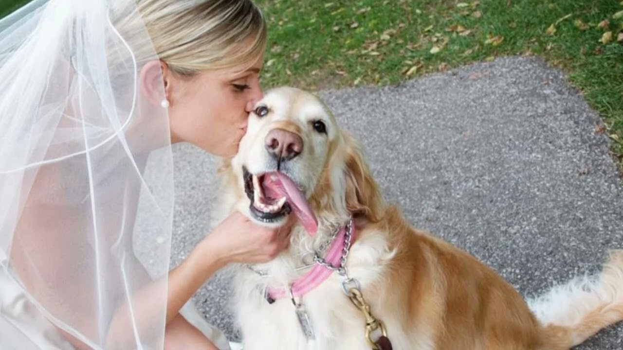 Non innamorarti MAI di una donna che ama i cani: La lettera che ha conquistato il web!