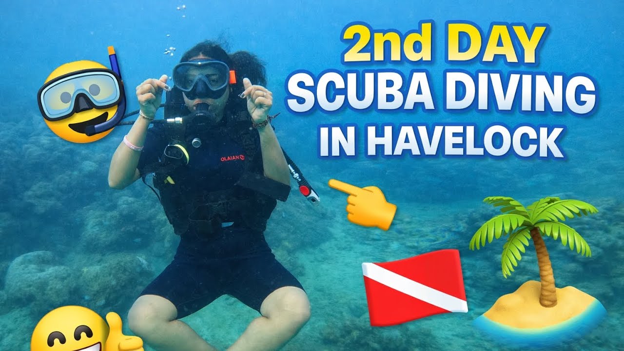 2ND DAY SCUBA DRIVING 🤿 🦪 IN HAVLOCK ANDAMAN 🏝️// #andaman #scubadiving #experience #marinelife 