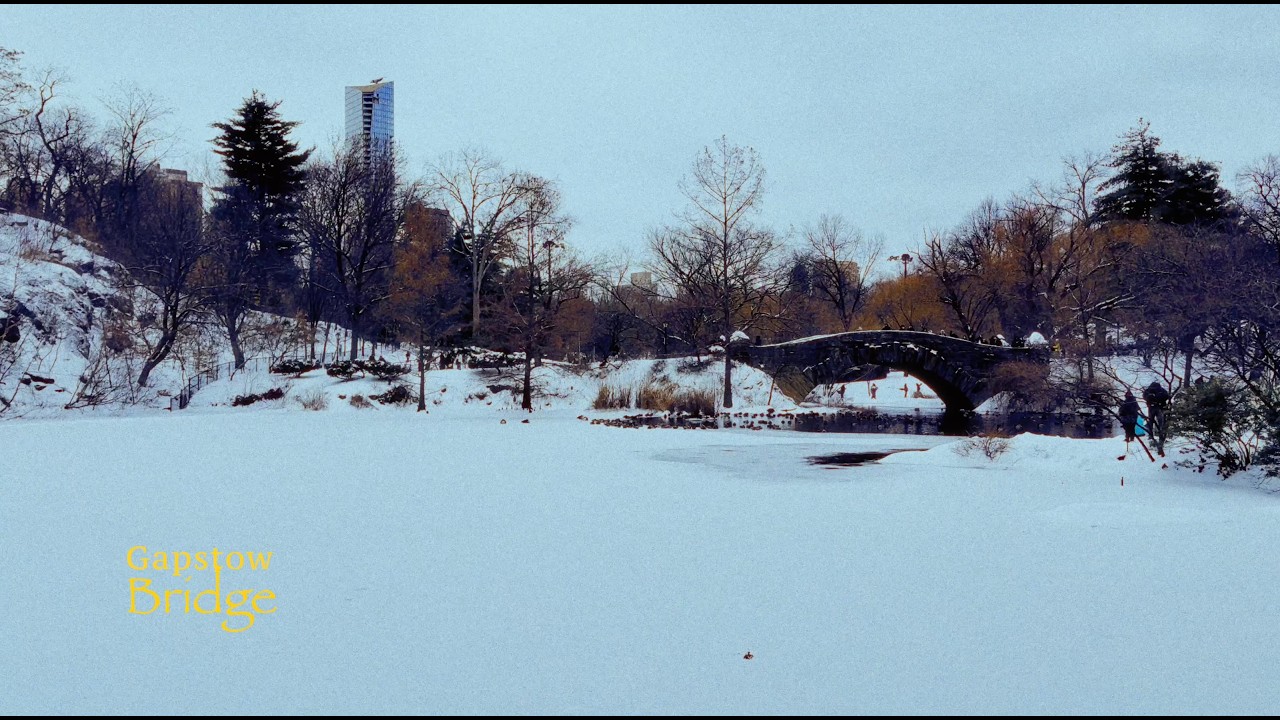 Tiny moments at Central Park after the Winter Storm.
