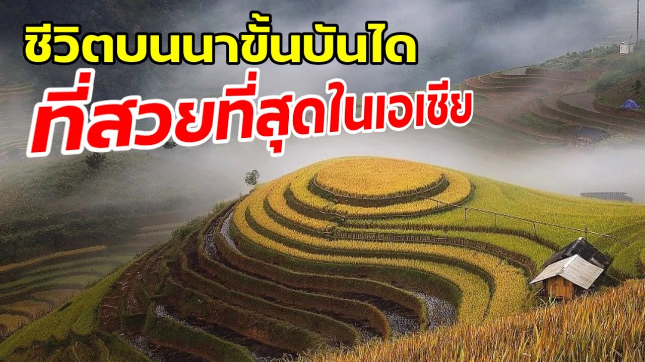 ชีวิตบนนาขั้นบันได ที่สวยที่สุดในเอเชีย