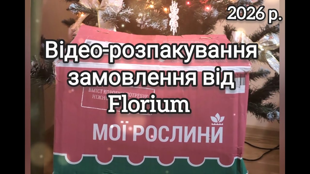 Моя покупка із Florium (відеоогляд). Запрошую до перегляду 🌹🌹🌹
