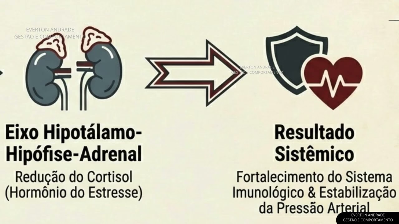 GRATIDÃO: COMPORTAMENTO HUMANO