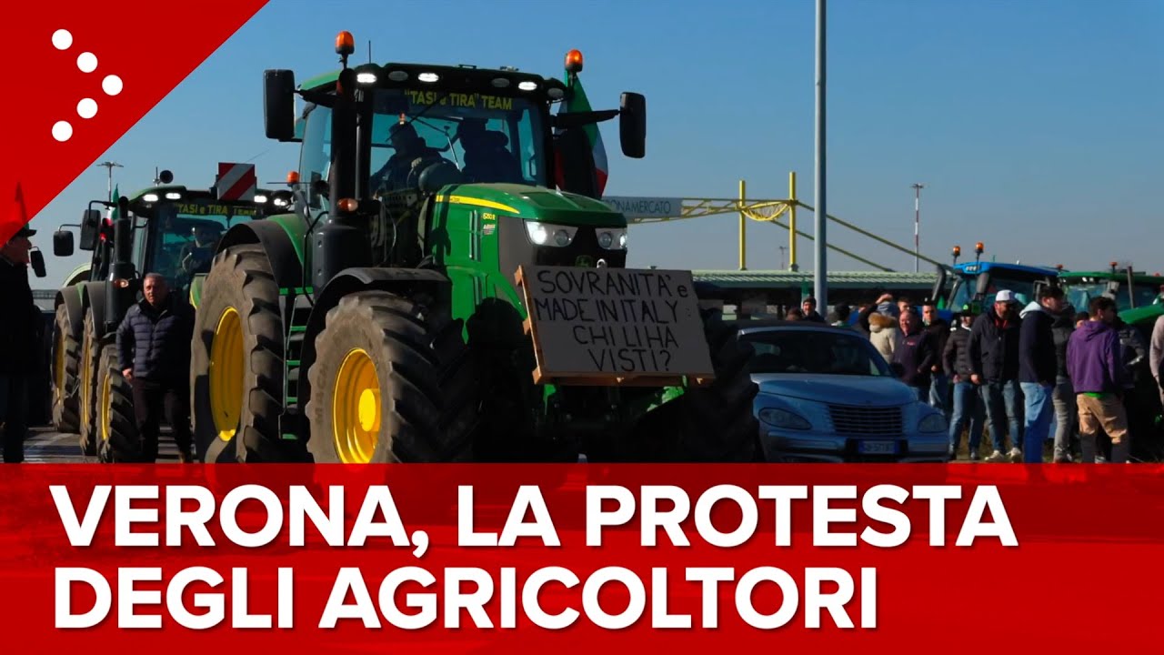 LIVE Raduno di decine di trattori a Verona, la protesta degli agricoltori: diretta video