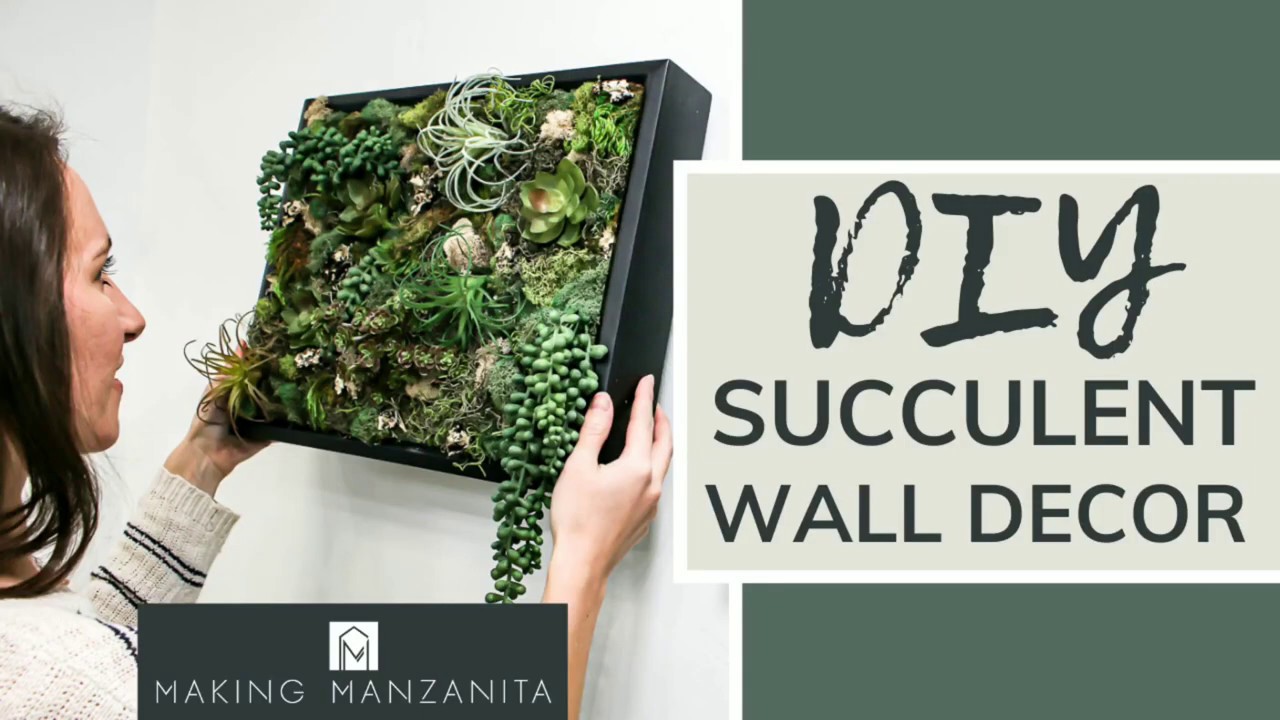 DIY Succulent Wall Decor | EASY CRAFT PROJECT