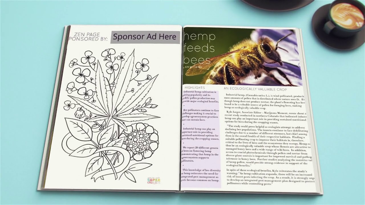 Magazine Intro