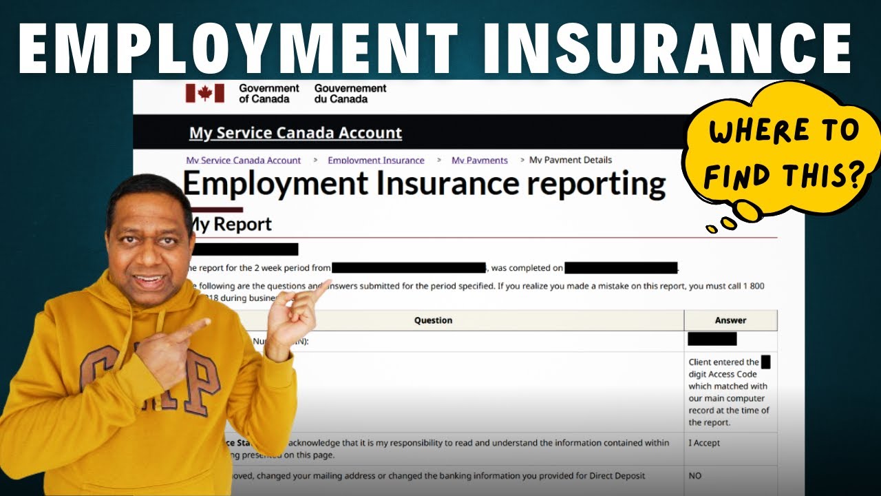 Как найти свой отчет EI (и другие советы)