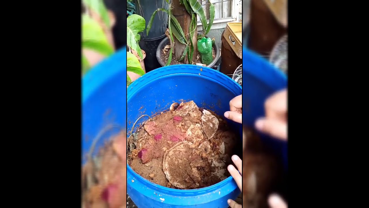 صناعة السماد العضوى|بالمنزل -اعادة تدوير Fertilizer Bokashi compost