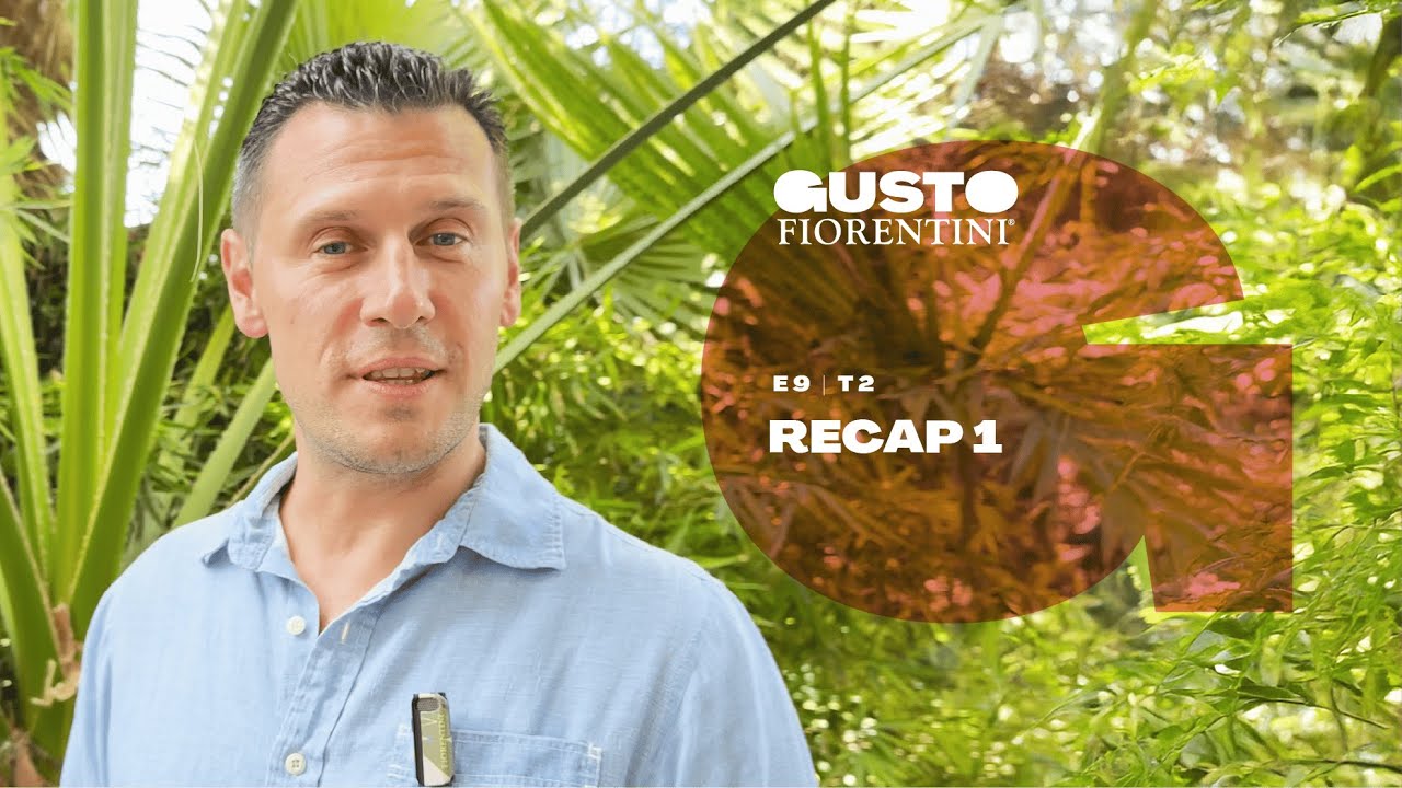 RECAP 1 Gusto Fiorentini E9 S2