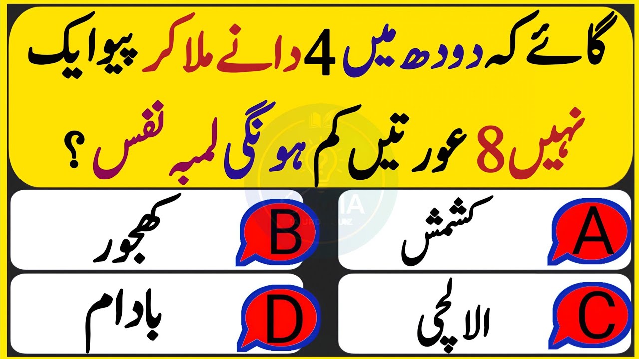 Top Islamic Questions and Answers - Sawal Jawab - Islamic Paheli - Gk - IA Urdu Quiz