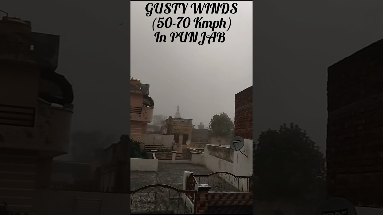 THUNDERSTORM⛈️☔LIGHTNING ⚡& 50-70Kmph GUSTY WINDS🥵 IN PUNJAB#shorts #viralvideo #wind #thunderstorm