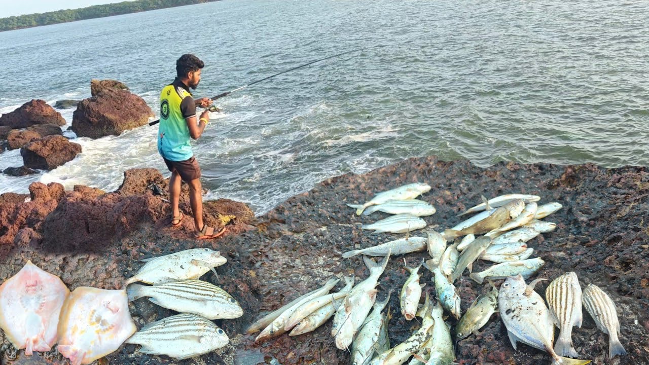 दिवसभर केली समुद्रावर भन्नाट मासेमारी , गरवून पकडले मासे |Traditional fishing kokan 