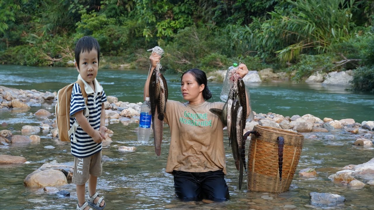 Single mother and baby, went to the stream to catch fish - caught a lot of delicious fish