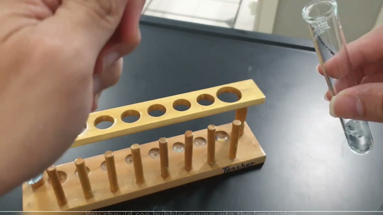 QA | Test for Carbonate (HELP! white ppt not forming in limewater)