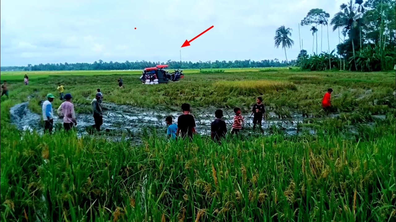 ternyata ini penyebab banyak orang berkerumunan di sawah