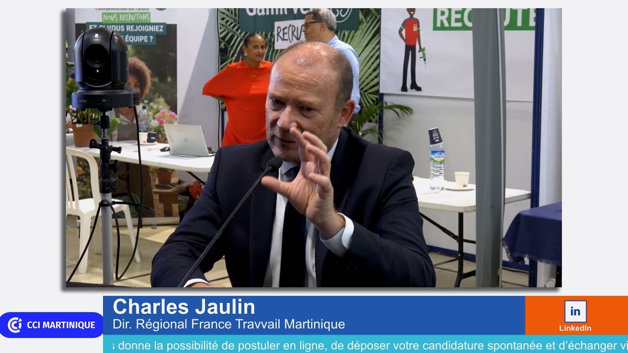 France Travail : l&rsquo;emploi en Martinique, entre efficacit&eacute; et attractivit&eacute; territoriale