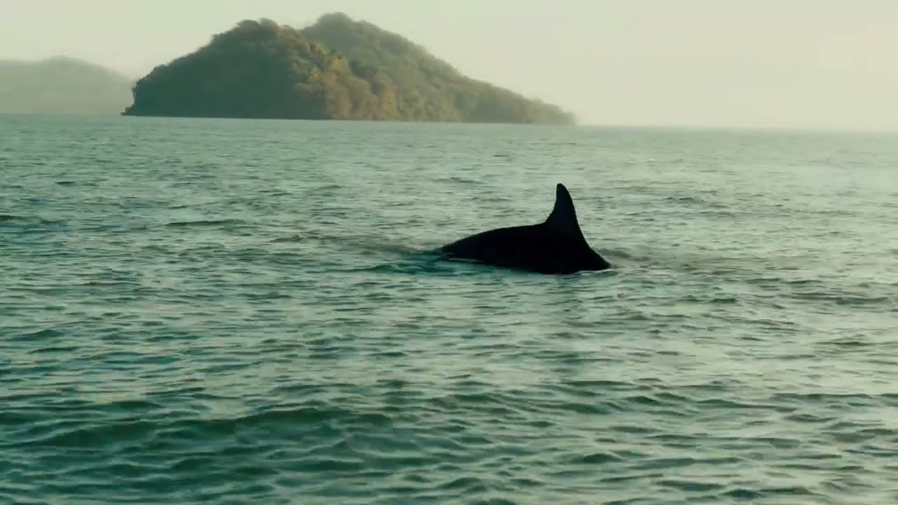 Hacia Isla Gamez - Viaje Cinem&aacute;tico | Sony Fx30