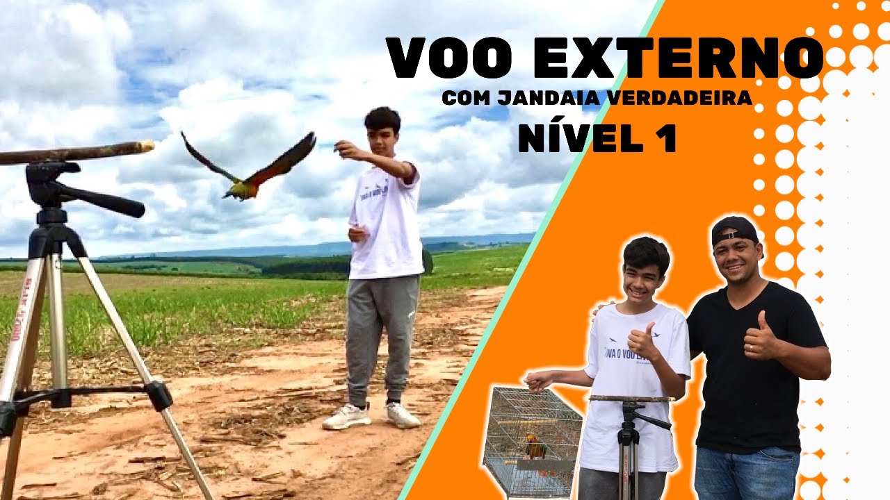VÔO LIVRE/ acompanhando mais um amigo com sua ave