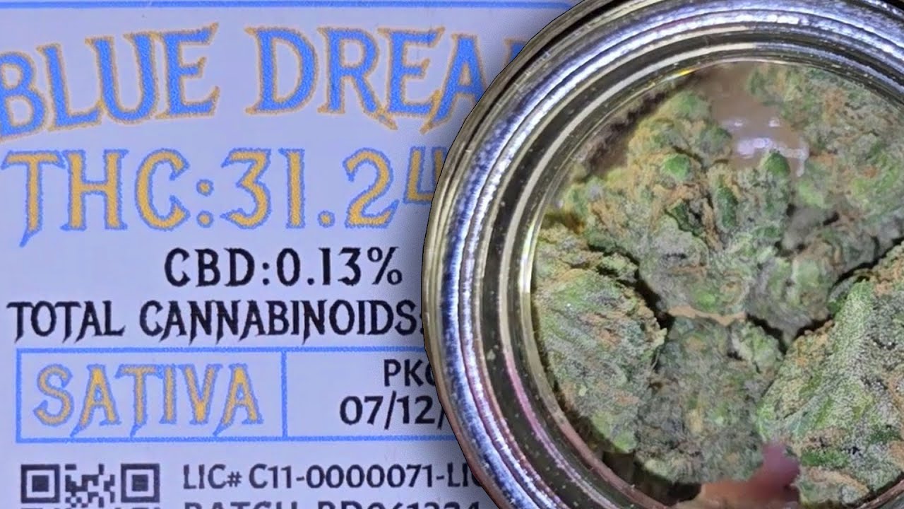 Cali Weed Strain Review 24| Reviewing Iconic Indoor Blue Dream Strain ! Did Top Shelf Grow it Right?