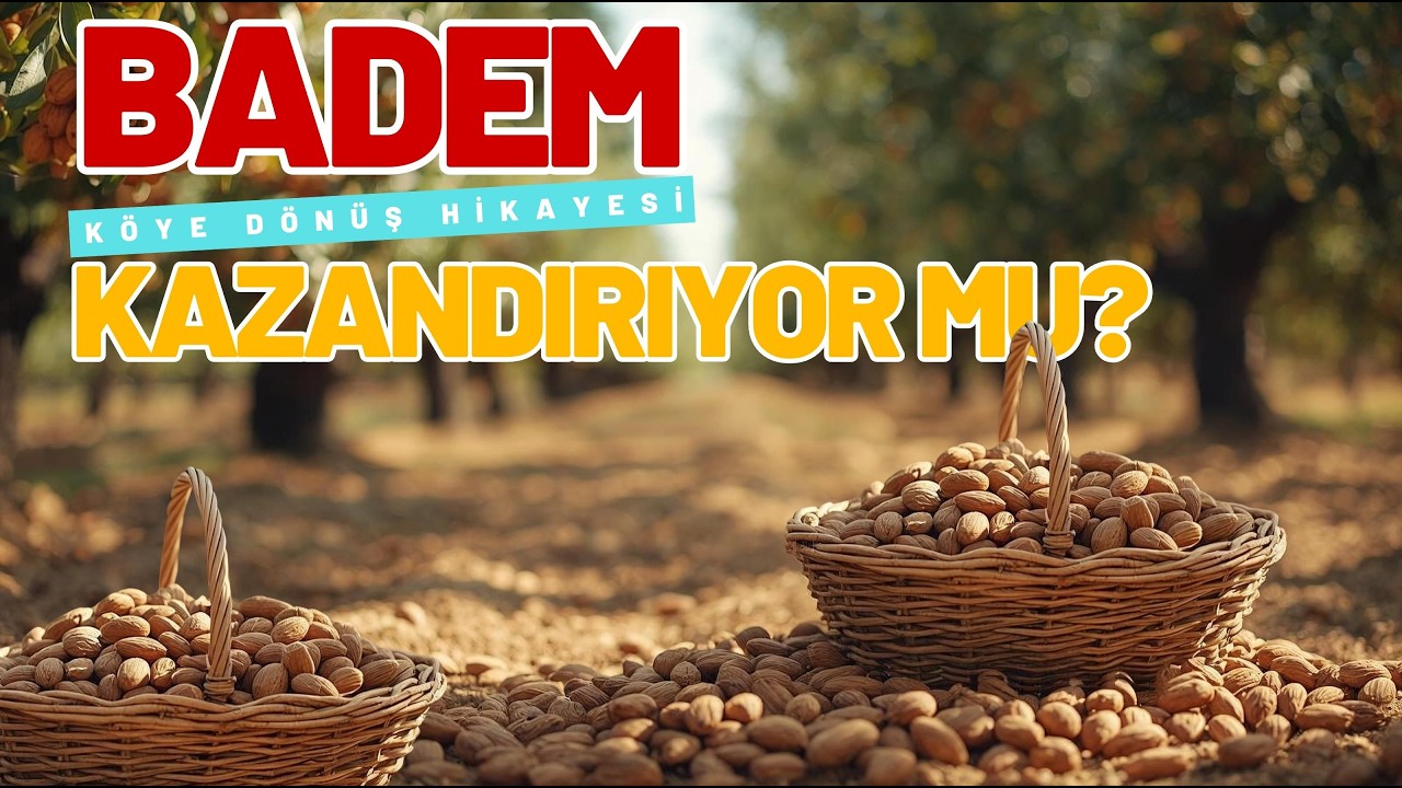 Badem Bahçesiyle Para Kazanmak: Devlet Teşvikleri ve Hasat Gerçeği #badem #tarım #farming