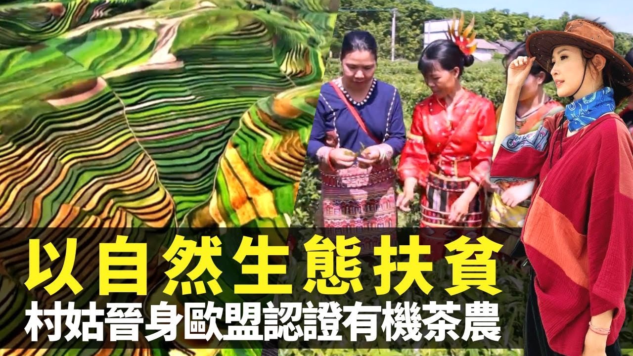 無窮之路｜陳貝兒目睹中國自然生態扶貧 海南熱帶雨林黎族大叔脫貧又脫單｜山村姑娘晉身有機茶農園主 通過逾400項歐盟認證｜寧夏西海固連通水源由沙海變綠洲 大豆蘋果成絕配