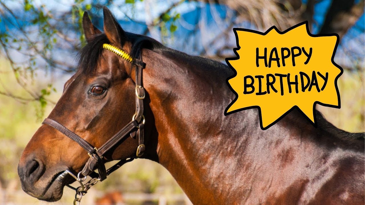 Zum 25. Geburtstag von Silvano