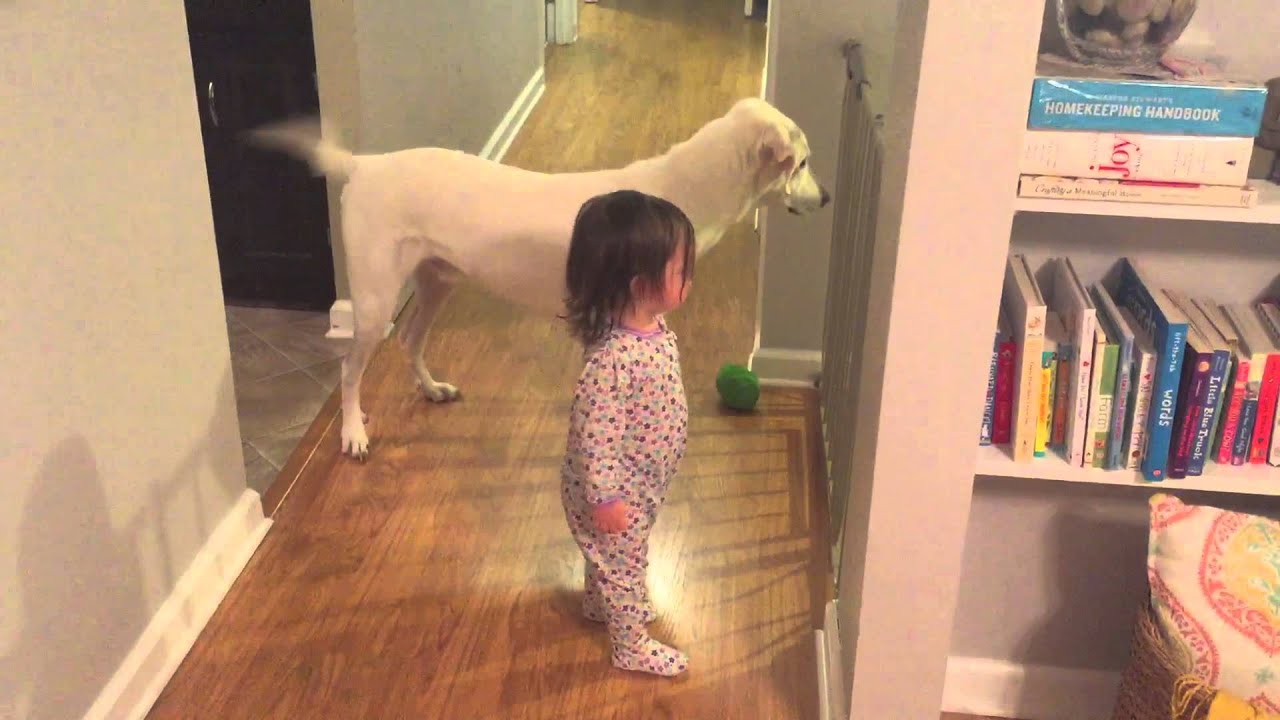 Daddy is Home!