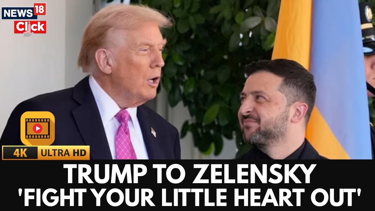 Мирный план для Украины в центре внимания: противоречивое заявление Трампа Зеленскому | Война меж...