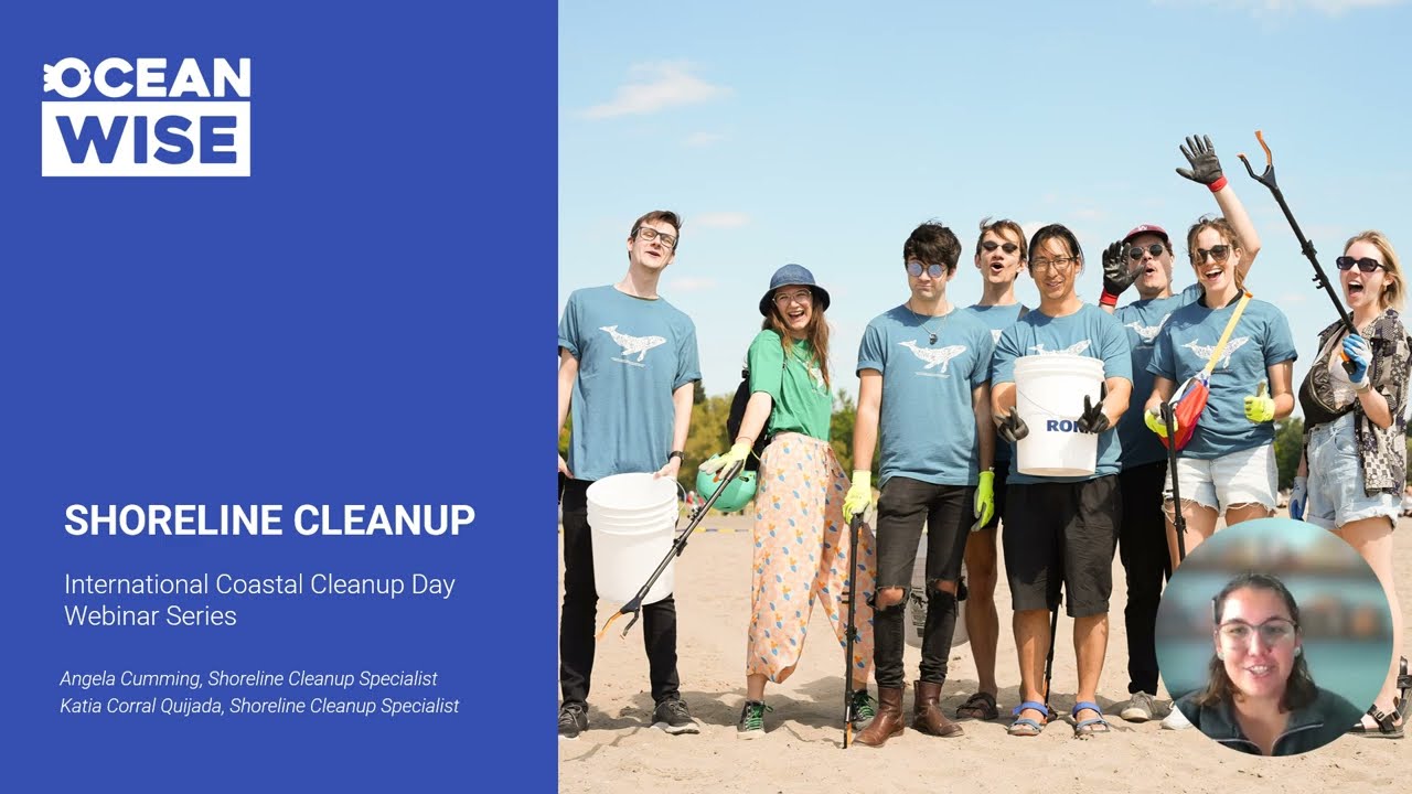Webinar: How to Lead a Successful Cleanup