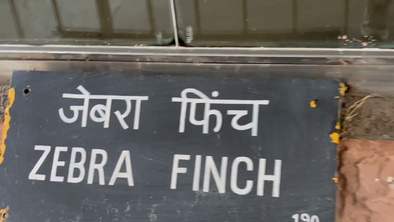 #nationalzoologicalpark #राष्ट्रीय चिड़िया घर नई दिल्ली #Bird houses all types of birds #सभी चिड़िया