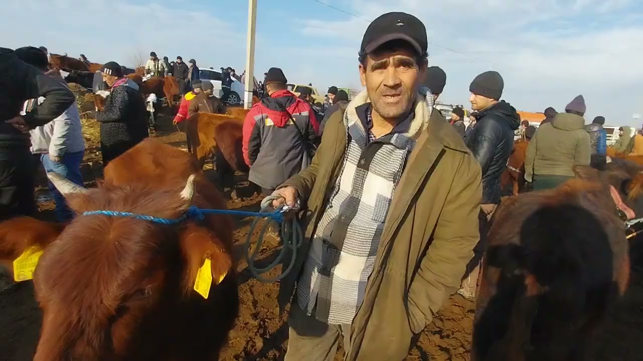 ПИР БОЗОРДА УНОЖИНЛАР НАРХЛАРИ. 14-ЯНВАР