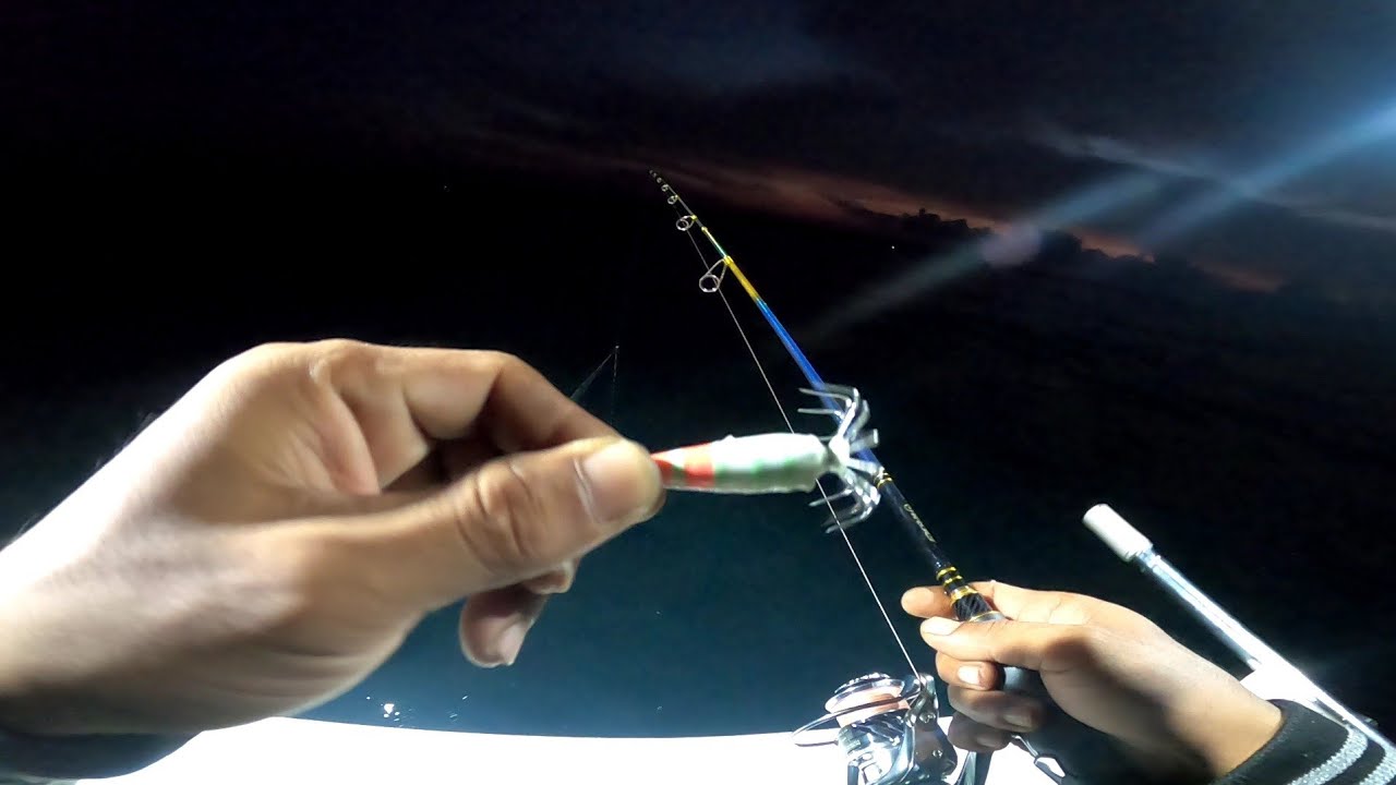 BEGINI TRIK & CARA SAYA MEMANCING CUMI CUMI PADA MALAM HARI