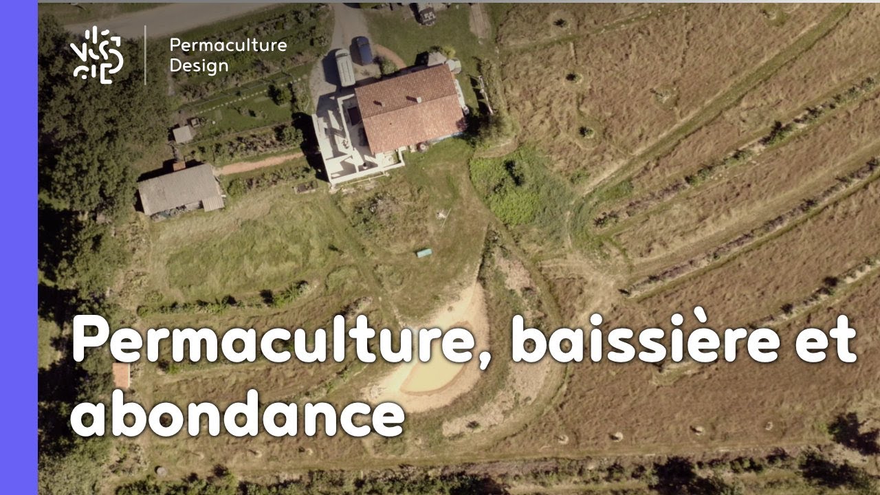Permaculture en famille, baissière et abondance