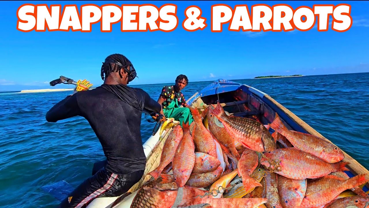 EPIC 8HRS FISHING 11miles OFF THE COAST OF JAMAICA‼️CHRISTMAS FISHING‼️