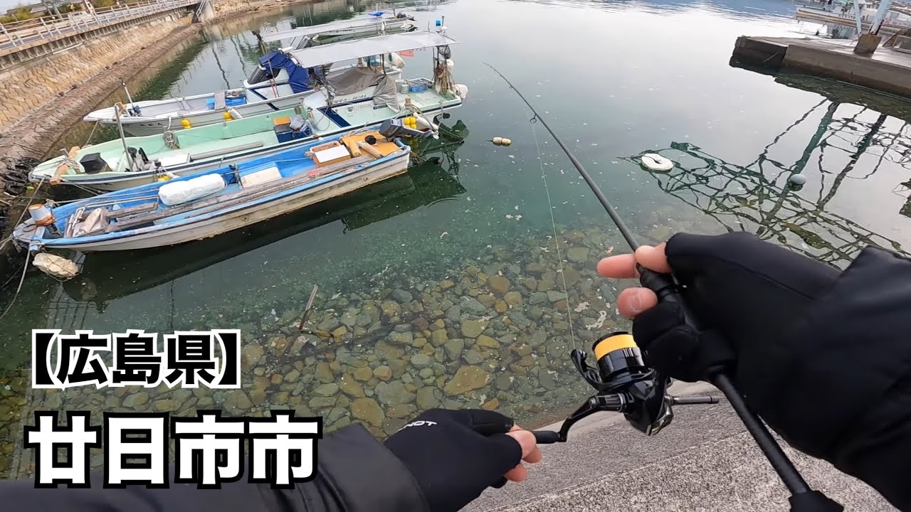 【広島釣り】1月の釣りが難し過ぎて癒しを求めてロックフィッシュの楽園に行って来ました🎣