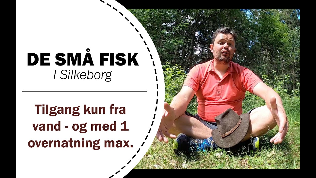 Outdoor steder i Danmark - De Sm&aring; Fisk i Silkeborg: Sejl hertil og nyd en overnatning