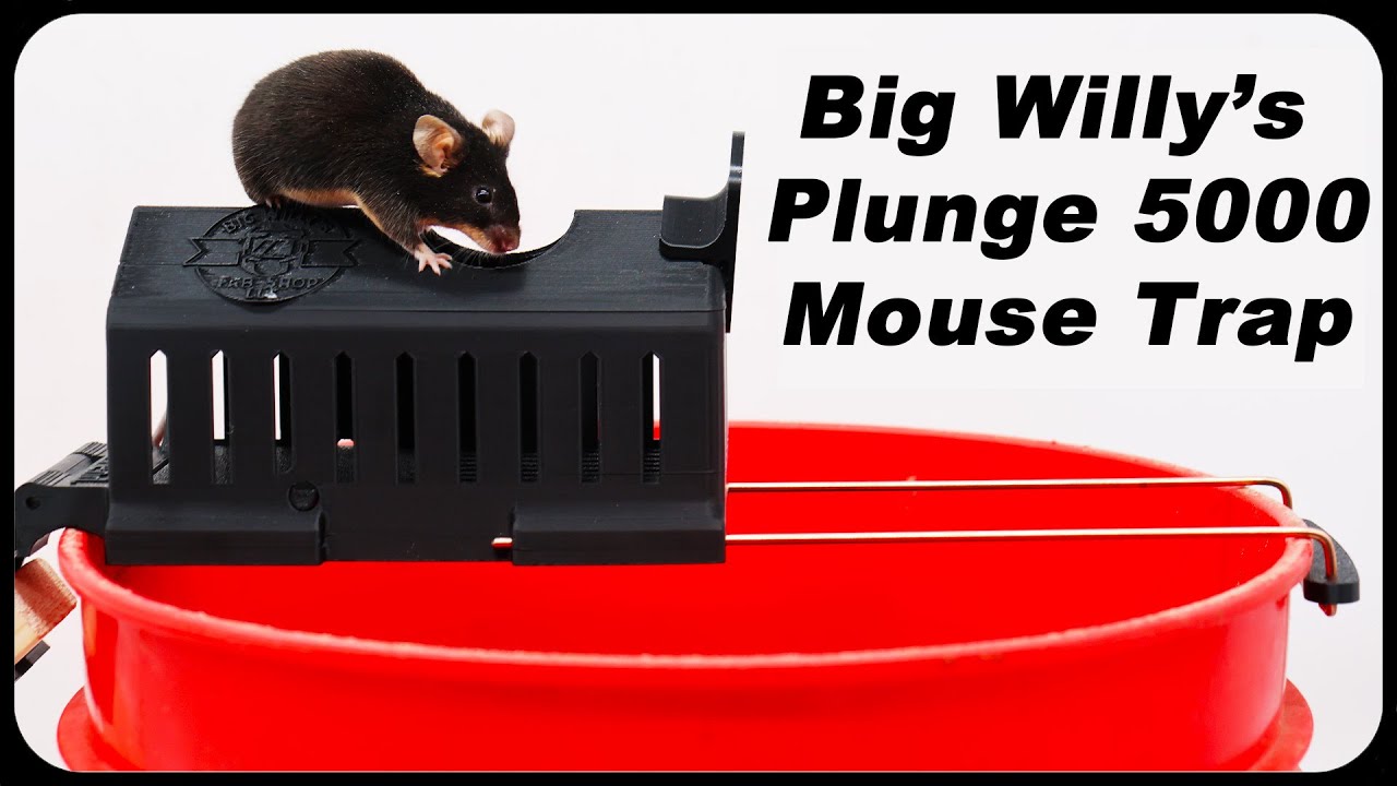 BIG WILLIE'S Plunge 5,000 Amazing Mouse Trap. Mousetrap Monday
