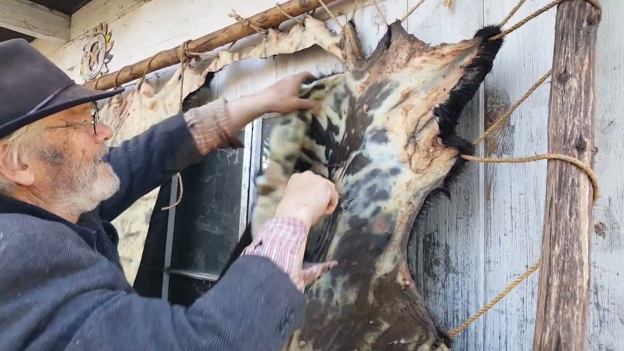 Rawhide: Cutting Hide From Frame Cutting One Continuous Strand & Drying | Californio Traditions 0005