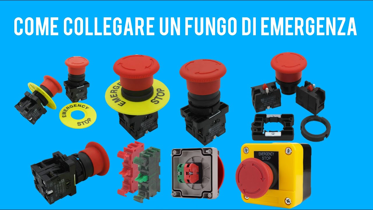 COME COLLEGARE UN FUNGO DI EMERGENZA