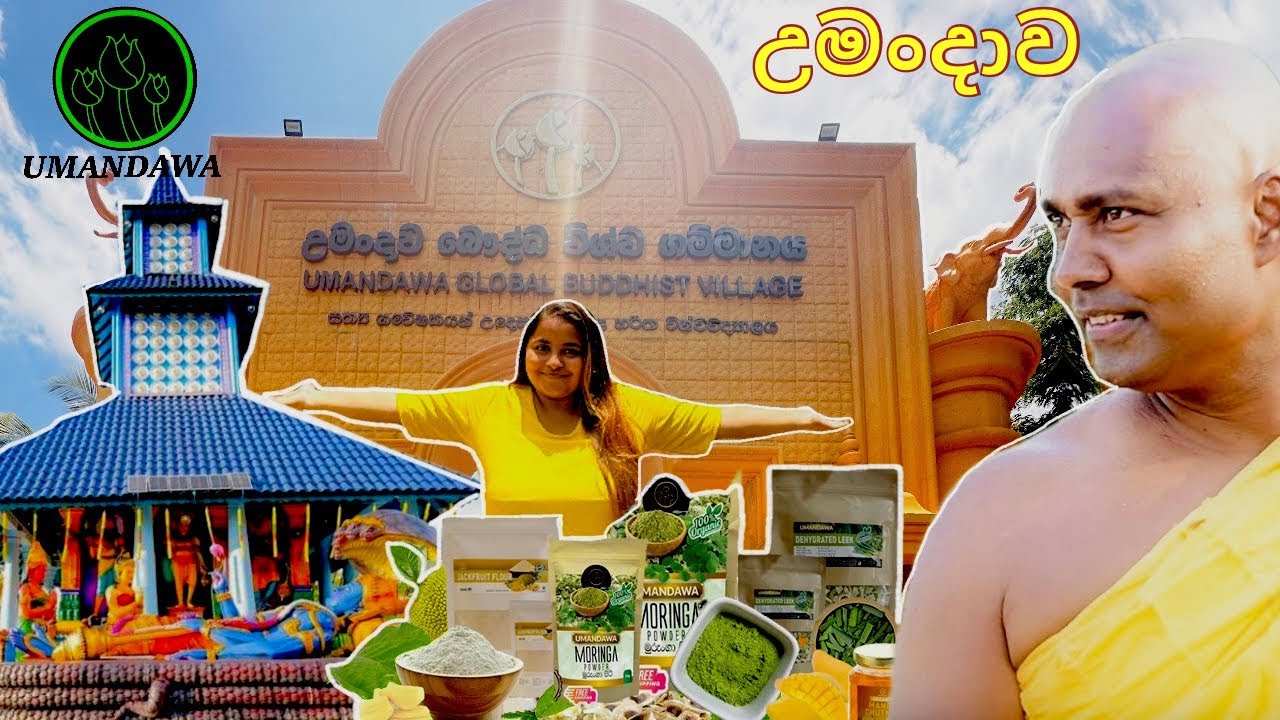 මොකක්ද මේ උමංදාව විශ්ව ගම්මානය? Umandawa Global Buddhist Village @Umandawa @sashramaya Vlog-52