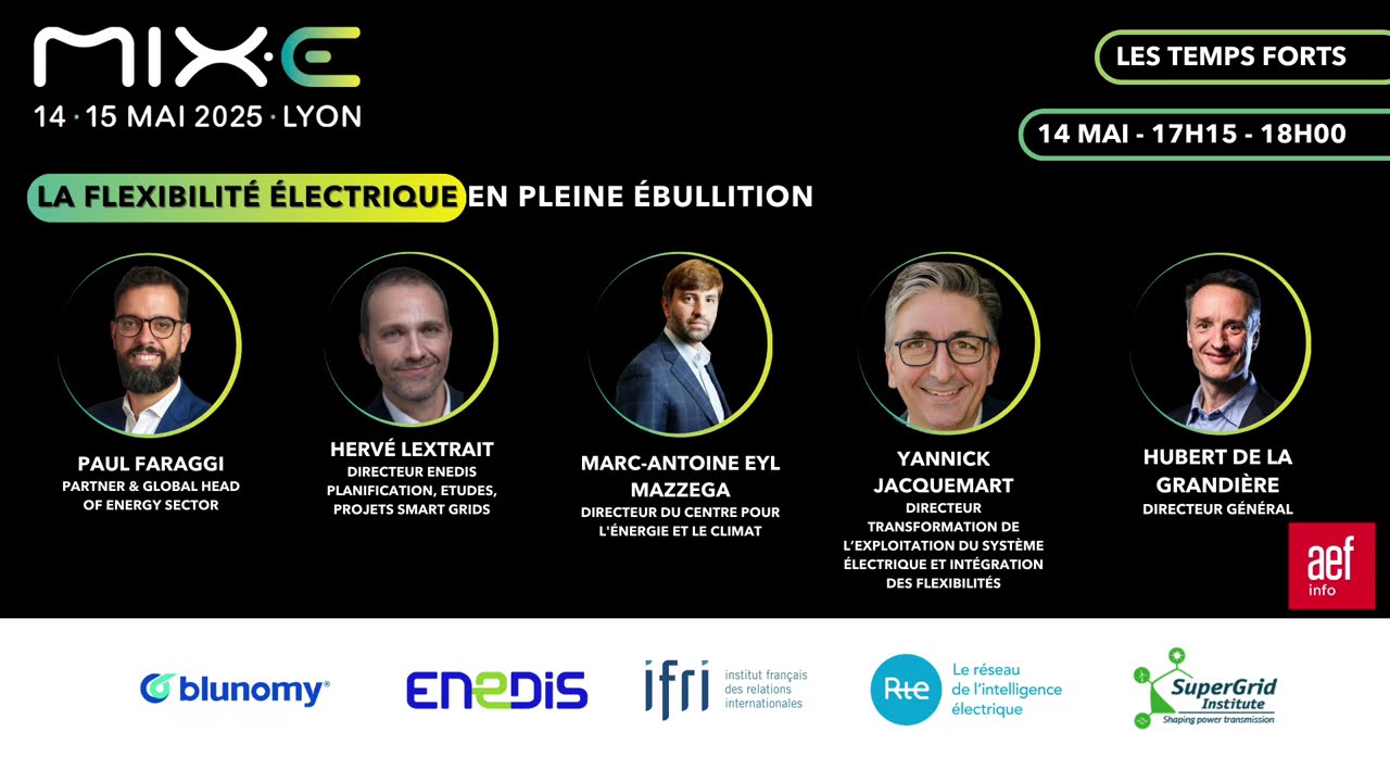 LA FLEXIBILITÉ ÉLECTRIQUE EN PLEINE ÉBULLITION