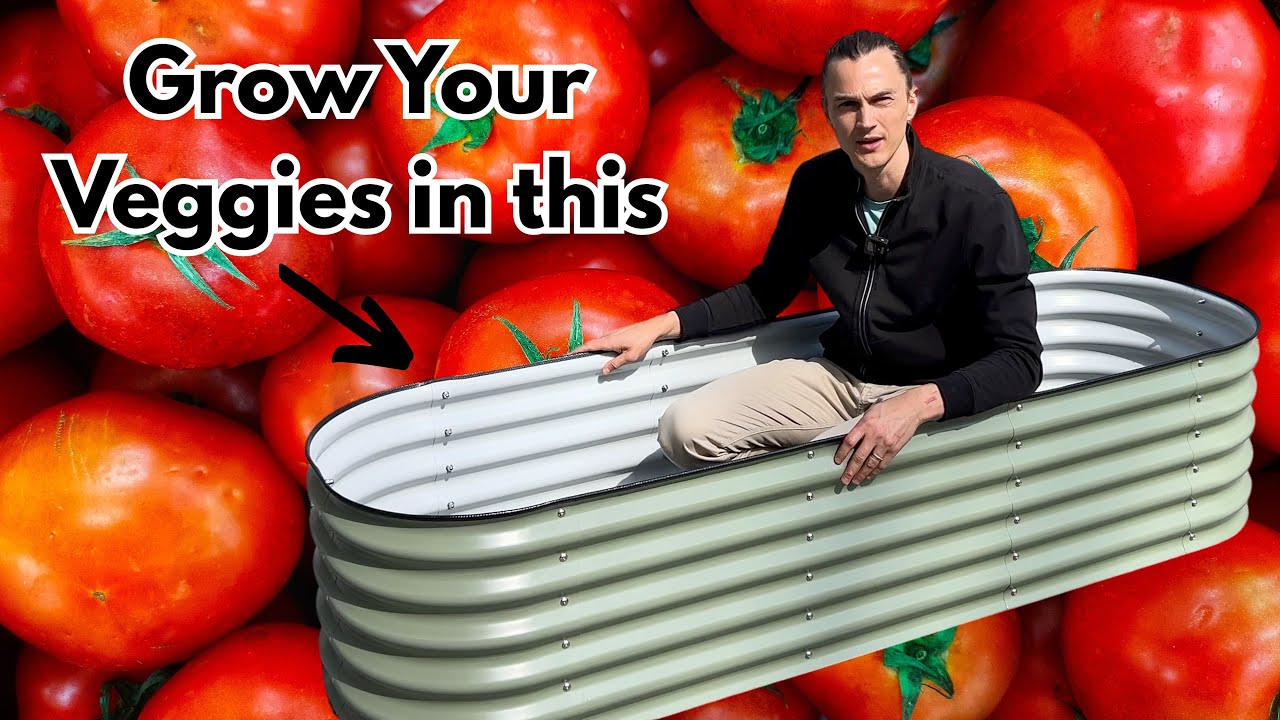 Vego Garden Raised Bed - A High Quality, Easy to Assemble Planter - Review