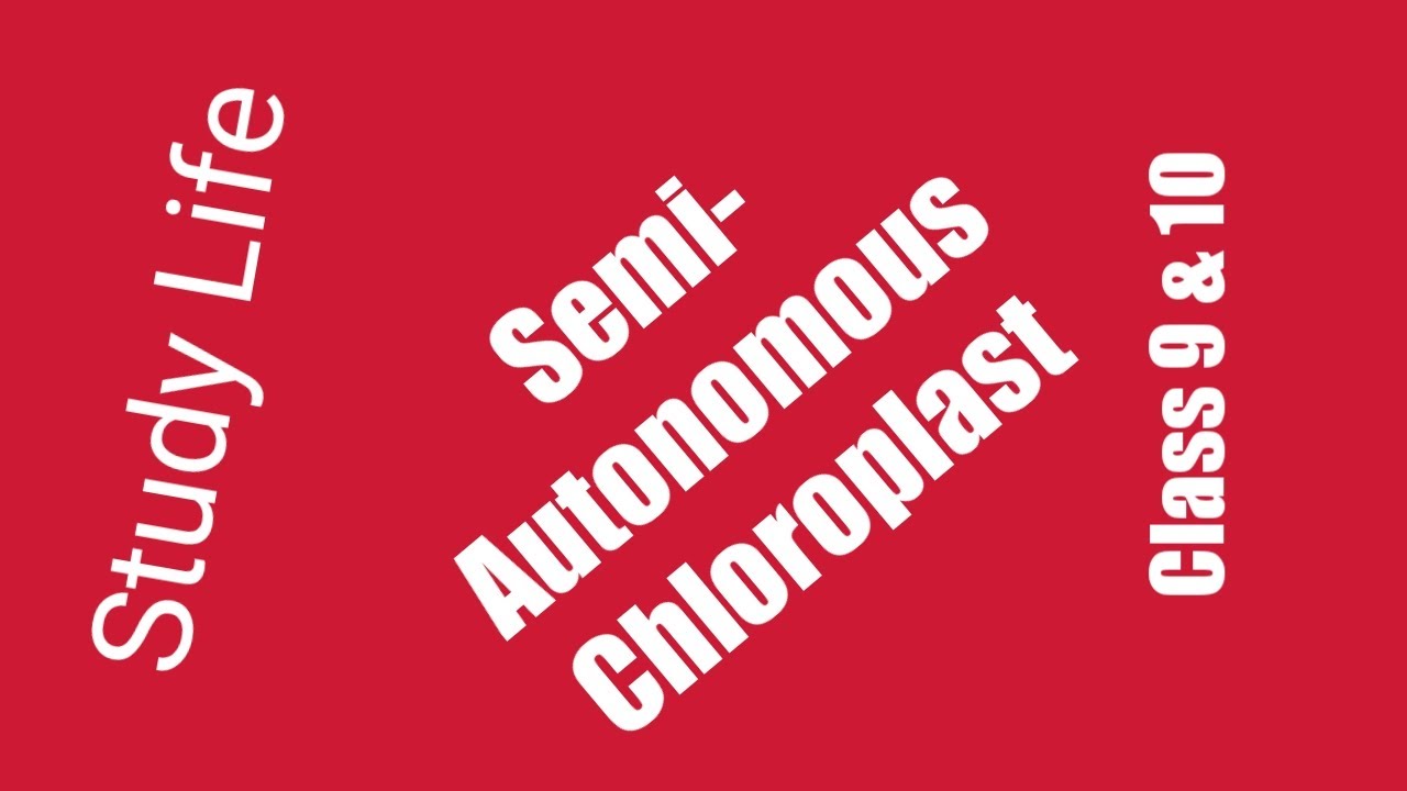 SemiAutonaumous Properly of Chloroplast| Semi Autonomous organelles