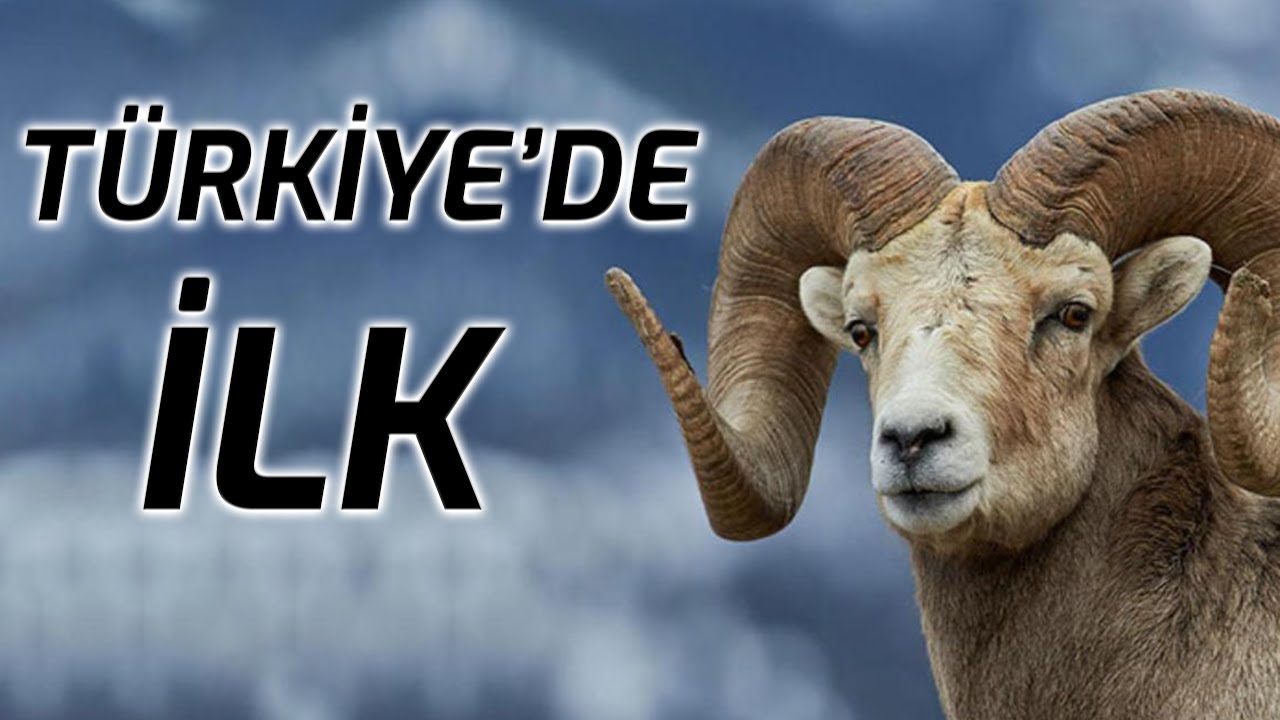 1. GÖNEN KOÇ PANAYIRI / KÜÇÜKBAŞ SAATİ