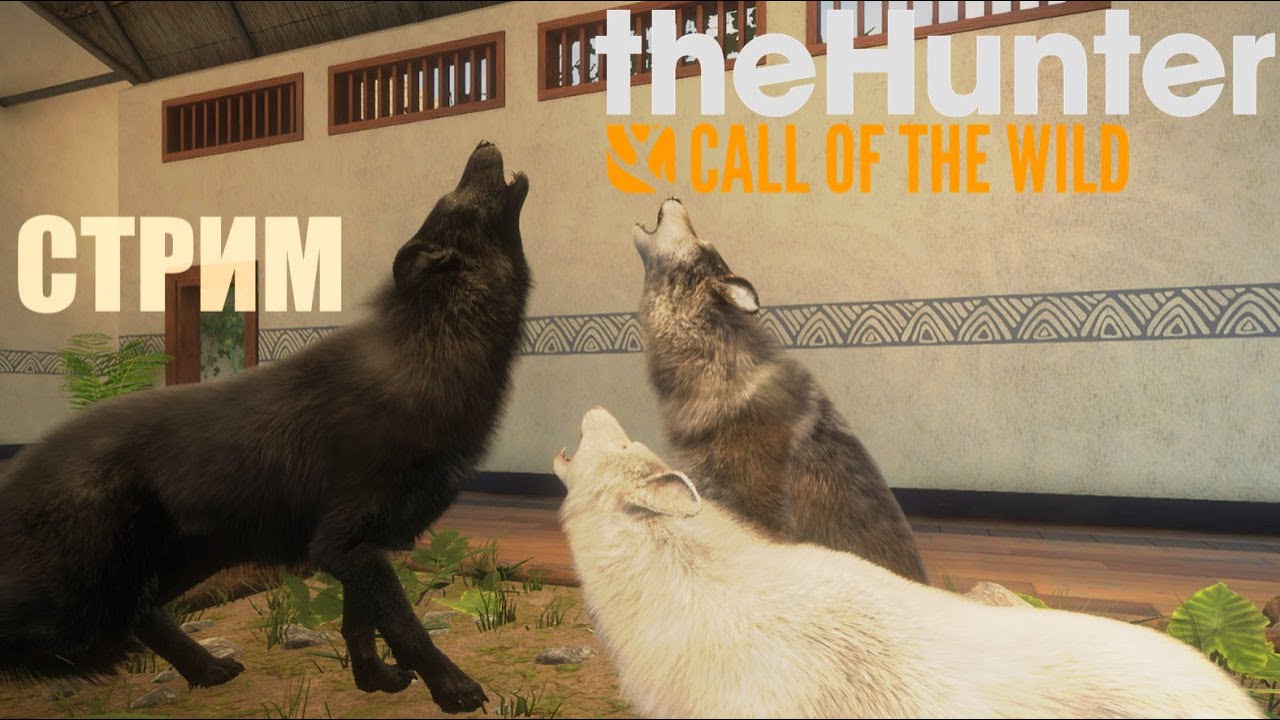 Консилиум Йети продолжение | The Hunter Call of the Wild 2 №2