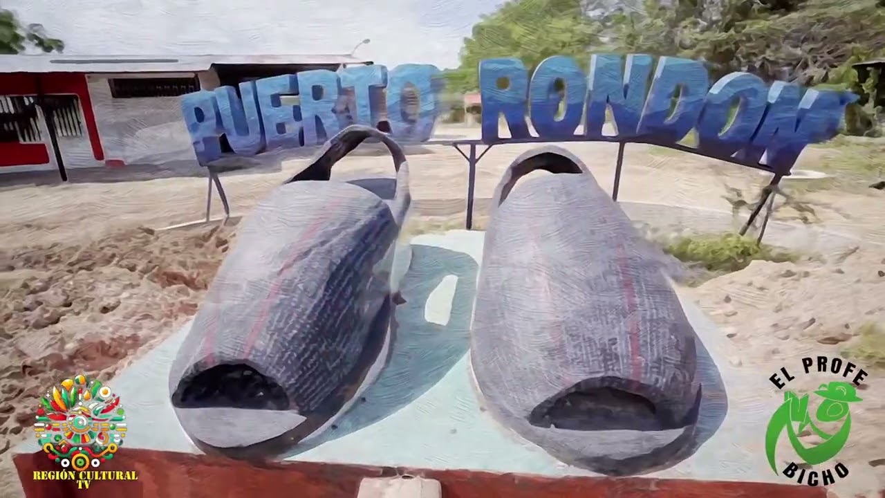 Puerto rondón Arauca.