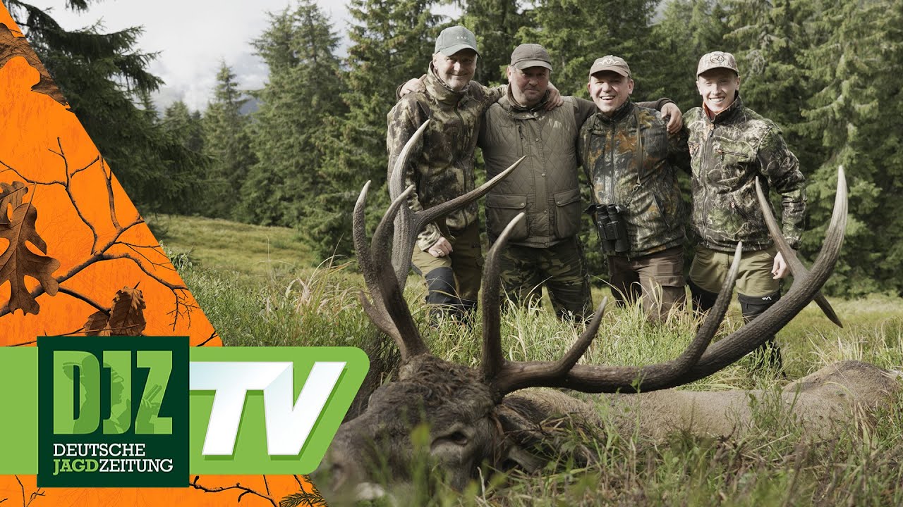 Der König der Karpaten - DJZ TV